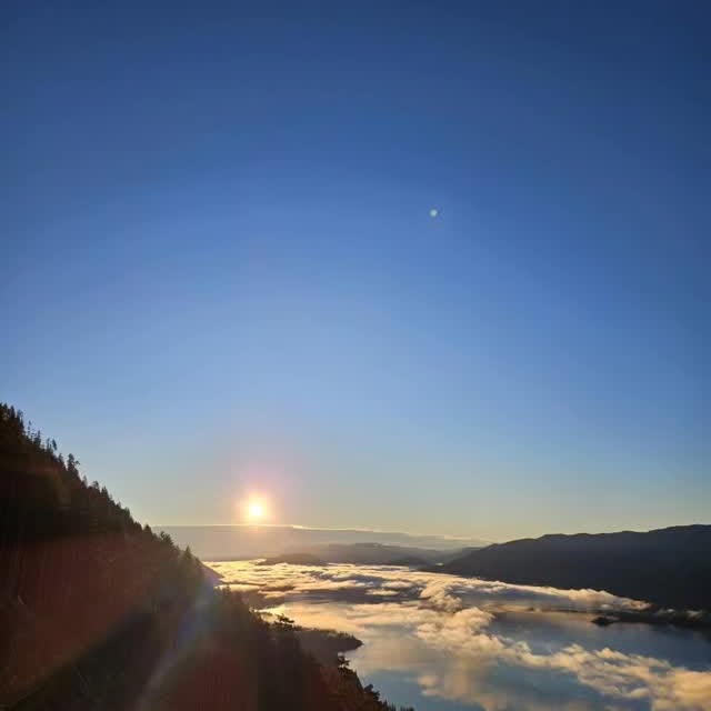 Post by nighthawkfalling