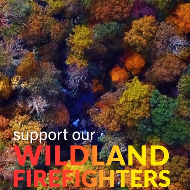 Post by wffoundation