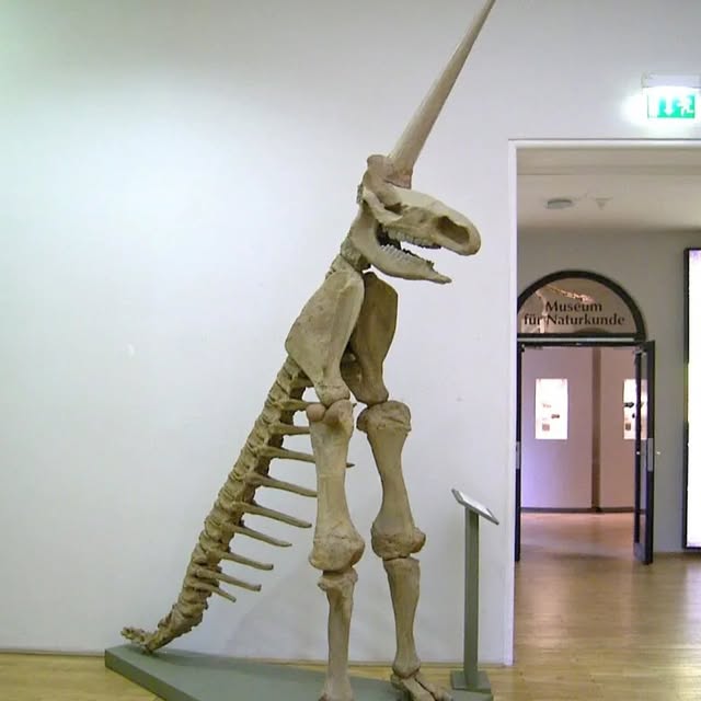 Post by anonymousworksinc