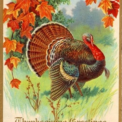 Post by little.shop.on.maple.hill