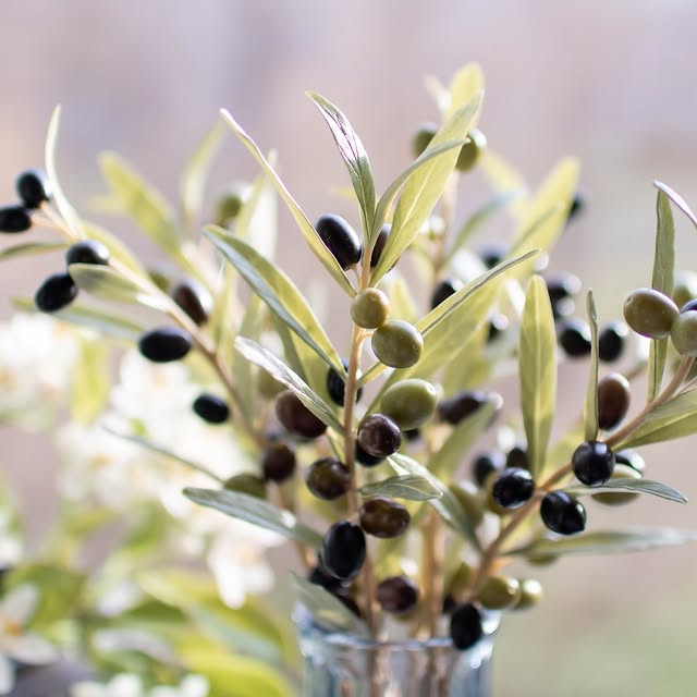 Post by natalia_jelonkina