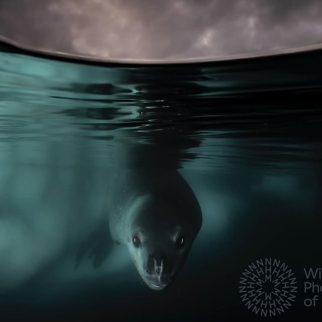 Post by mattysmithphoto