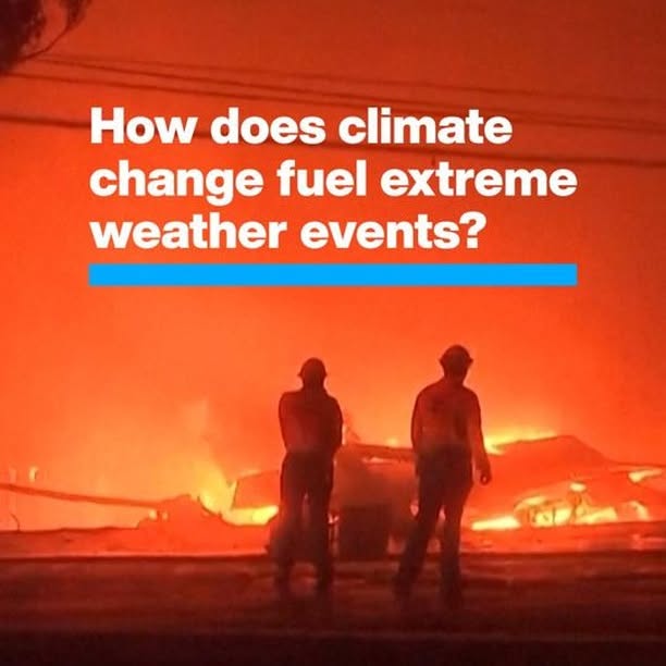 Post by worldeconomicforum