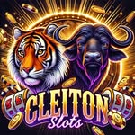 Cleitonslots_'s profile picture